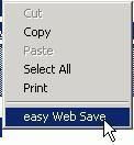 easy web save is a powerful ie add-on to help you only save the part you want in web page to