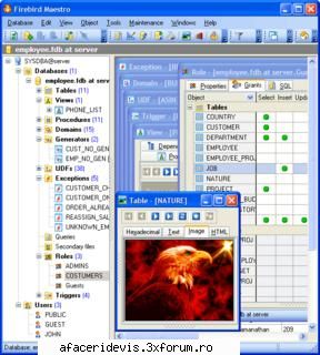 firebird maestro v7.9.0.1 firebird maestro firebird maestro the premier windows gui admin tool for