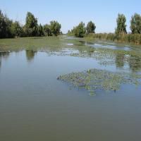 investitie delta dunarii 736 delta dunarii este declarata monument naturii, cea mai mare mai bine