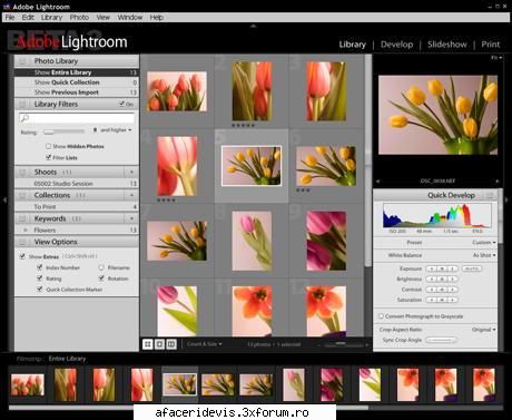 Adobe Photoshop Lightroom 1.2 - New Adobe� Photoshop� Lightroom� software is the - download free soft