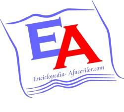 Cele mai bune idei de afaceri - Pentru cei care sunt in cautarea unei idei de - AFACERI