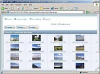 Easy File Sharing Web Server v4.5.0 - Easy File Sharing Web Server v4.5.0 Info - download free soft