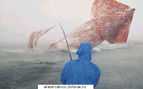 12 cele mai tari poze!