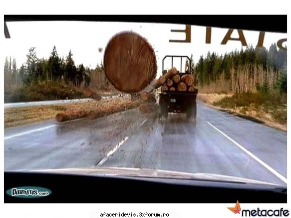 cele mai tari poze! - znuzna - Poze